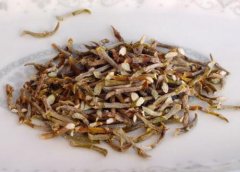 铁皮石斛寸金的优势是什么？