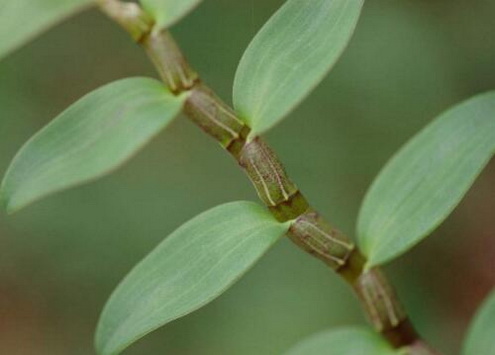 秋季怎样防秋燥？