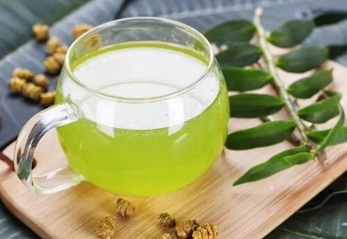 鲜铁皮石斛一天吃几根？