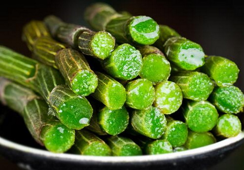 优质铁皮石斛鲜条有哪些特点？