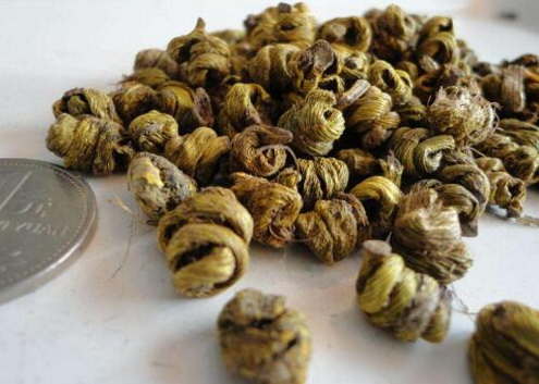 高血糖人群能吃铁皮石斛吗？