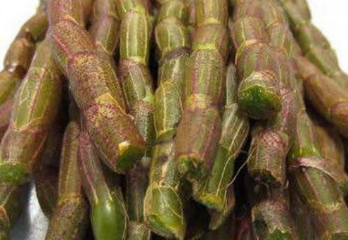 霍山石斛的品质与种植环境有关吗？