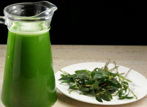 感冒发烧能吃铁皮石斛吗？