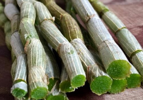 铁皮石斛的产品安全性要怎么保证？