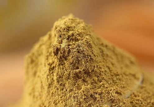 铁皮石斛怎么煲汤？铁皮石斛煲汤搭配哪些食材好？