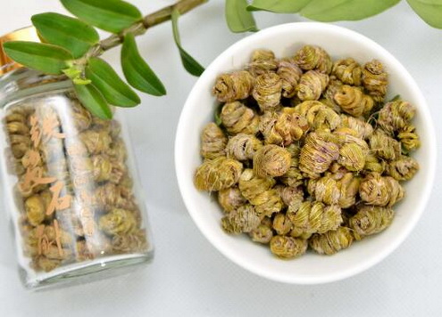 为什么石斛组培苗要训化？