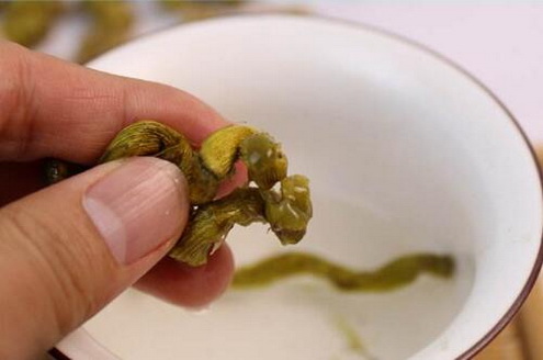 为什么霍山石斛又叫米斛？