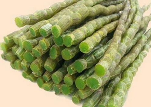 哪些人是不适合吃霍山石斛的？