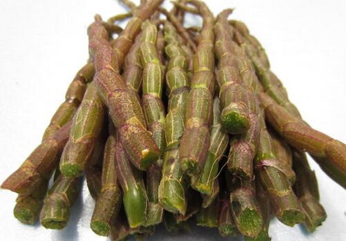 夏天怎么吃霍山石斛？