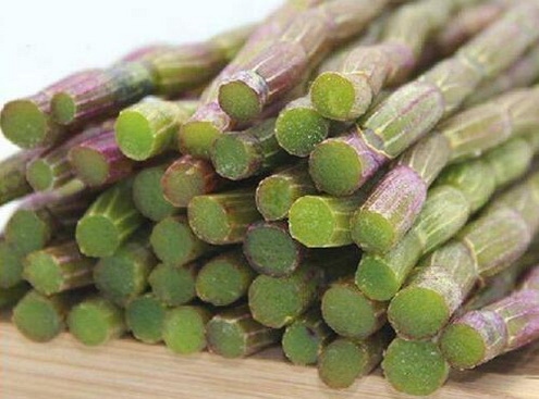 口腔炎吃什么好？口腔炎怎么吃铁皮石斛？