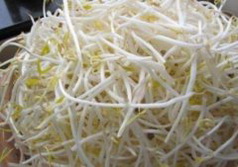 新鲜石斛炒豆芽的做法