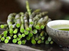 铁皮石斛的搭配禁忌