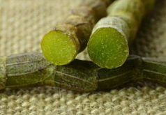 鲜石斛怎么吃？