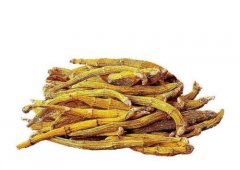 常见石斛的性状鉴别要点