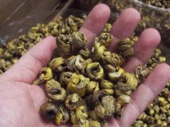 马鞭石斛所含的有效成分