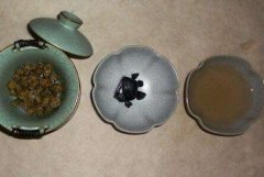 石斛对机体免疫功能的影响