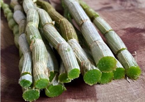 铁皮石斛针对老年痴呆症作用与吃法