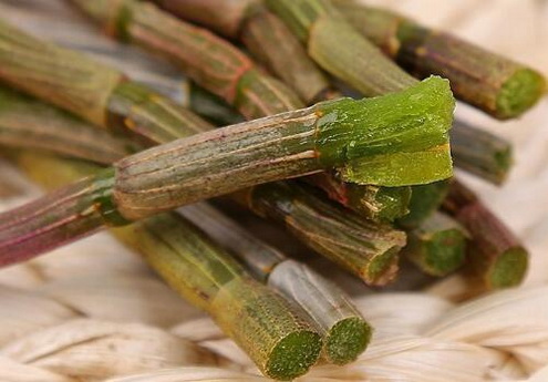 小儿佝偻病怎样用铁皮石斛?