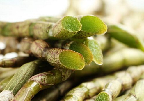 铁皮石斛花的吃法有哪些?