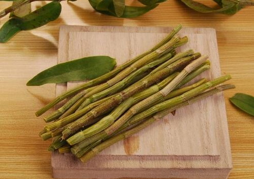 石斛验方之天麻煎的方剂和功效