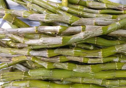 《魏氏家藏方》卷十:琥珀丸的方剂和作用