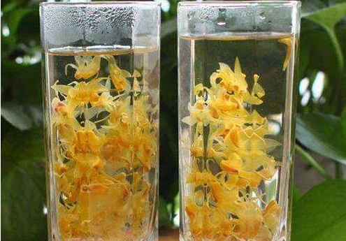 花菇灵芝石斛汤的做法和功效