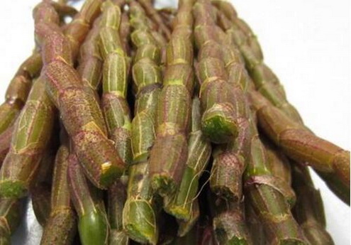 铁皮枫斗泡水的用法用量