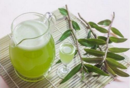 石斛煲汤的注意事项