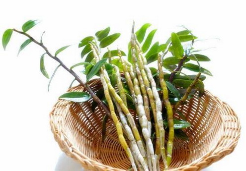 裂纹舌怎么吃石斛？