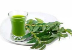 石斛酒方之固本遐龄酒的方剂和功效