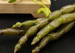 石斛验方：白芷丸的方剂和功效