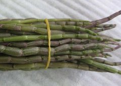 铁皮石斛搭配灵芝的吃法