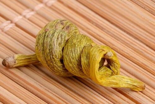 肠胃病患者吃铁皮石斛的注意事项