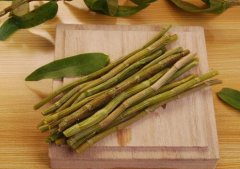 杞菊地黄丸的方剂和功效与作用