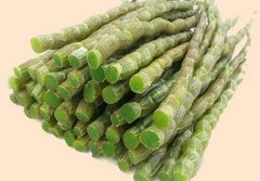 石斛验方之黄耆益损汤的方剂和功效与作用