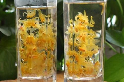 霍山石斛的家常吃法