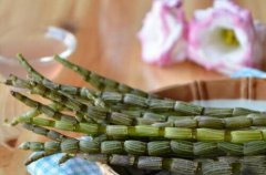 霍山铁皮石斛花的适用人群