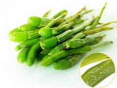 铁皮石斛黄芪甲鱼汤的做法和功效