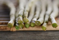 安全的铁皮石斛栽培技术，值得一看。