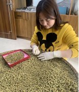 <font color='#FF0000'>女性吃石斛的十大好处：健康与自信的秘诀</font>