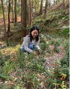 <font color='#0000FF'>哪里产的铁皮石斛最好最正宗？铁皮石斛产地哪里好些？</font>