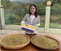 <font color='#0000FF'>癌症患者可以服用铁皮石斛吗</font>