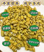 <font color='#0000FF'>糖尿病吃铁皮石斛有用吗？</font>