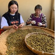 <font color='#FF0000'>口干舌燥咽喉干,口苦口臭可以吃铁皮石斛吗?</font>