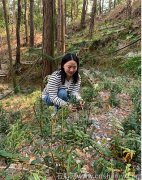 霍山铁皮石斛与其它一般石斛的区别是什么呢？