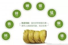 霍山铁皮石斛的功效与作用适合哪些人群吃好呢？