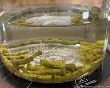 喝铁皮石斛水有什么功效与作用?有什么好处和坏处