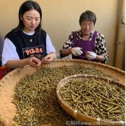 铁皮石斛和什么一起泡水喝更健脾胃效果好一些