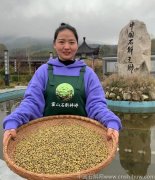 铁皮石斛和什么一起泡水喝对胃好养胃效果好呢