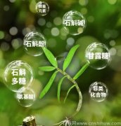 铁皮石斛和天冬可以一起泡水喝吗功效与作用及禁忌